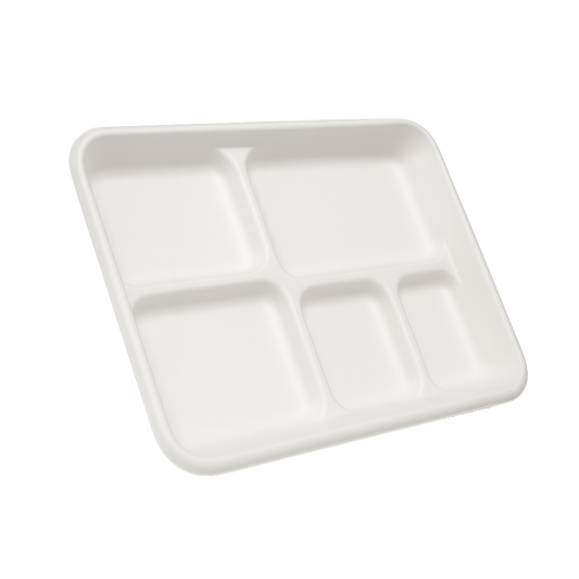 Bagasse Trays