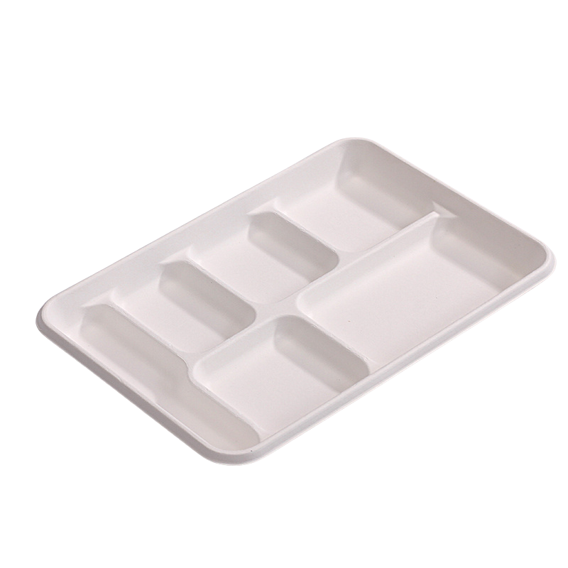 Bagasse Trays