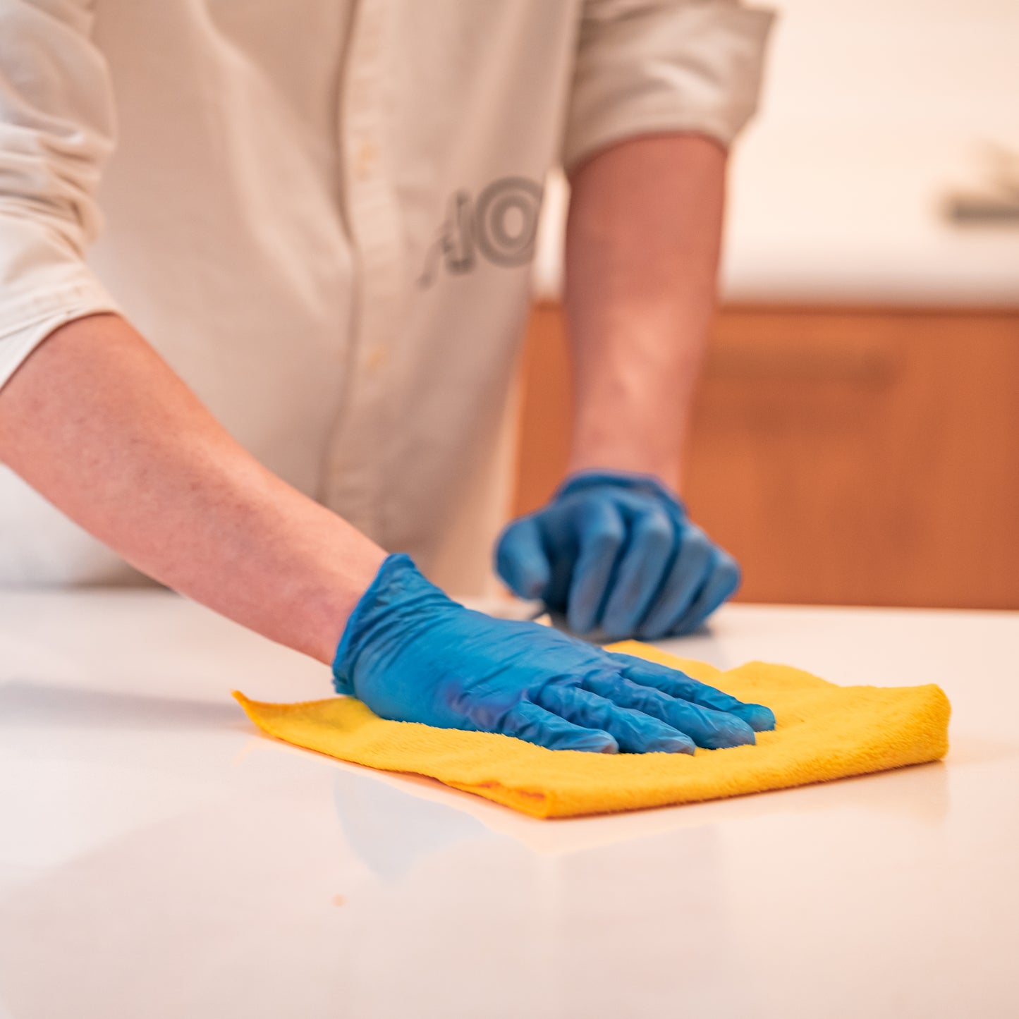 Vinyl Gloves