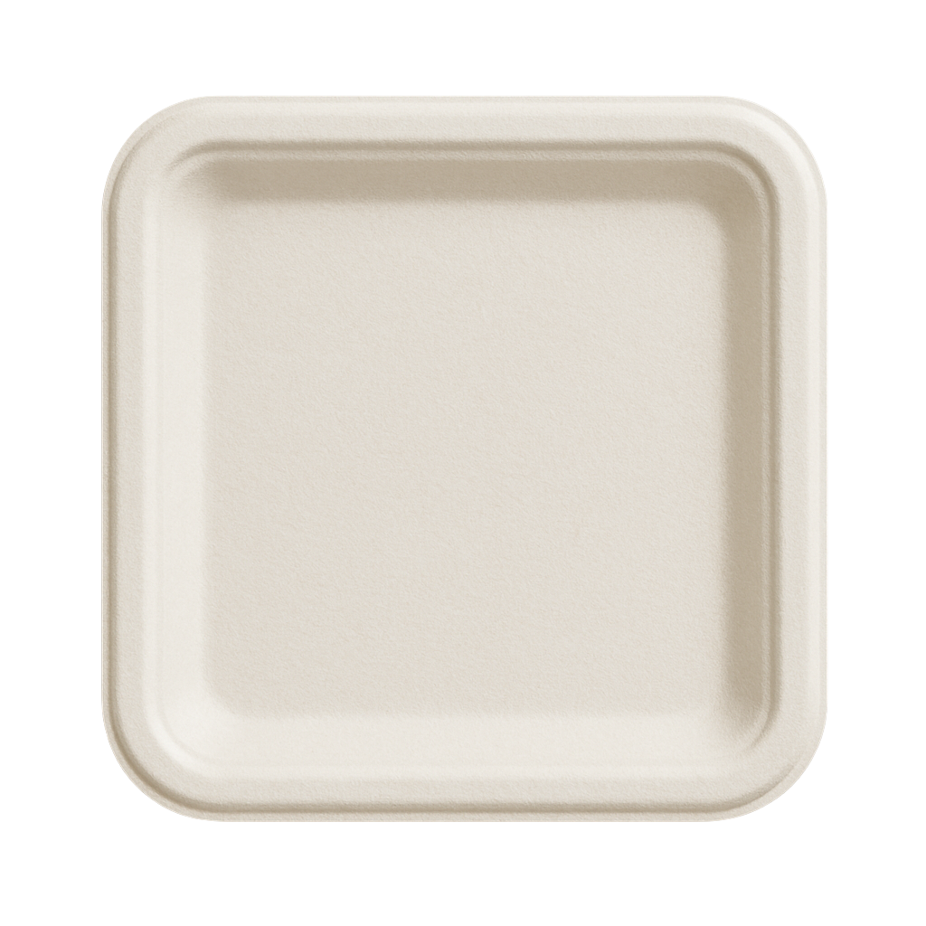 Bagasse Plates (Square)